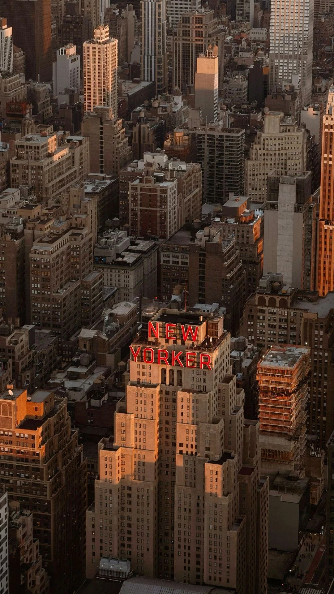 Warm sunlight falls across a dense city skyline and the red New Yorker sign.