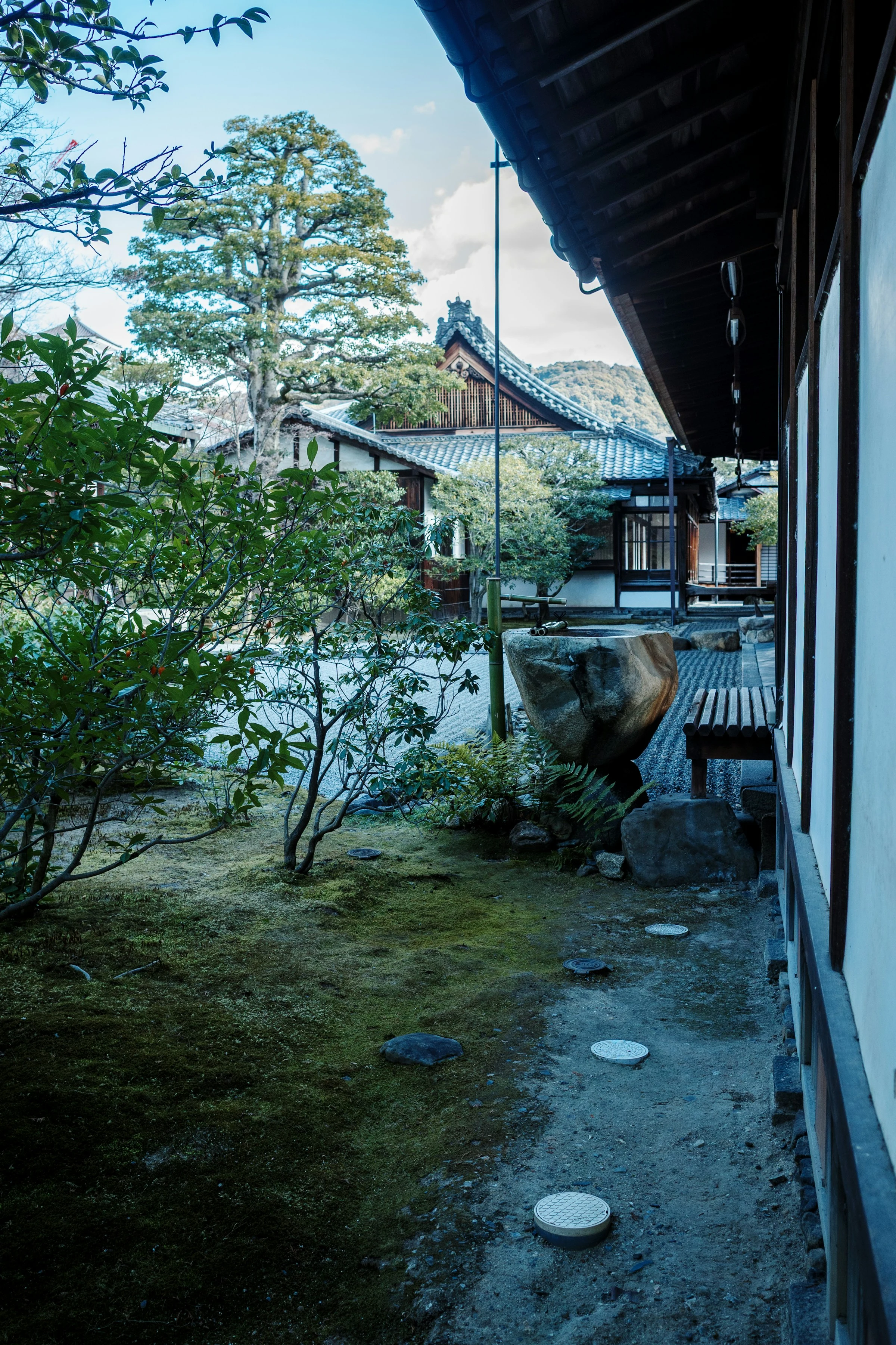 A sheltered garden in Kyoto, with a stone basin, moss, clipped planting and timber eaves.