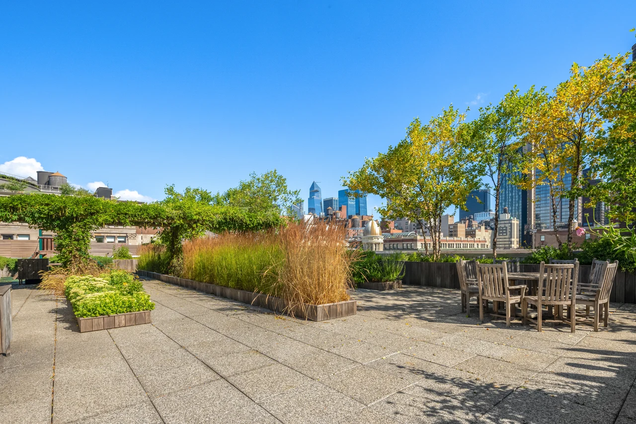 60 West 20th Street, Residence 4E — shared roof terrace 13