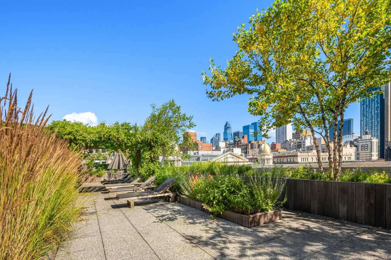 60 West 20th Street, Residence 4E — shared roof terrace 14